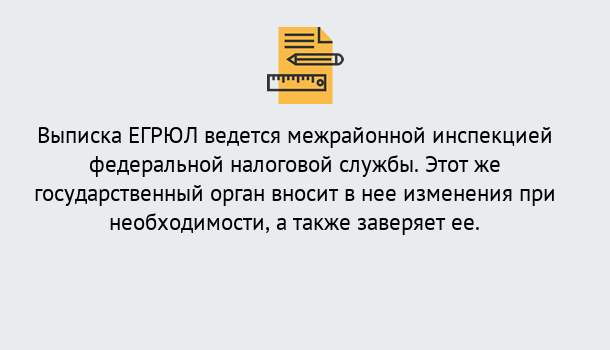 Почему нужно обратиться к нам? Вольск Выписка ЕГРЮЛ в Вольск ?