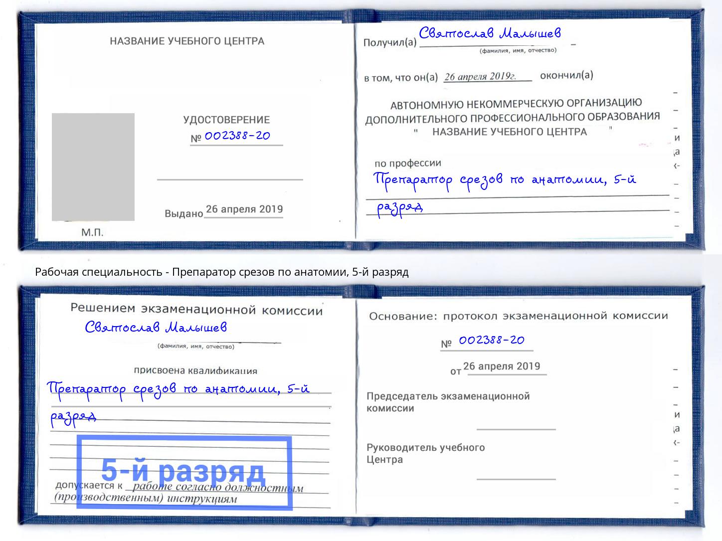 корочка 5-й разряд Препаратор срезов по анатомии Вольск