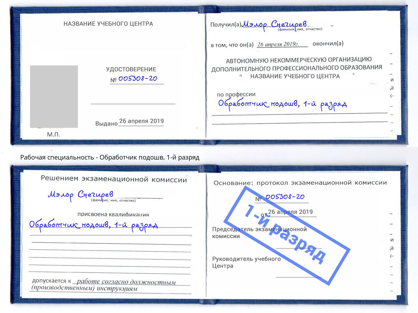 корочка 1-й разряд Обработчик подошв Вольск